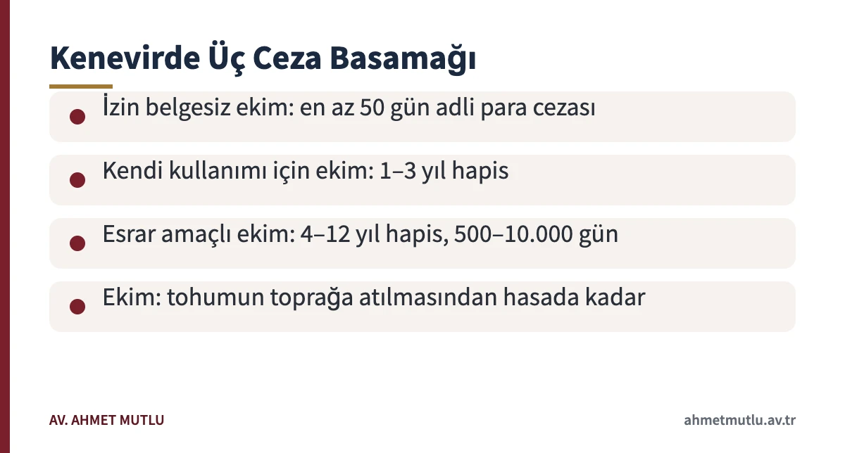Uyuşturucu maddelerin murakabesi kanunu 23. maddesindeki kenevir ekimi ceza basamakları
