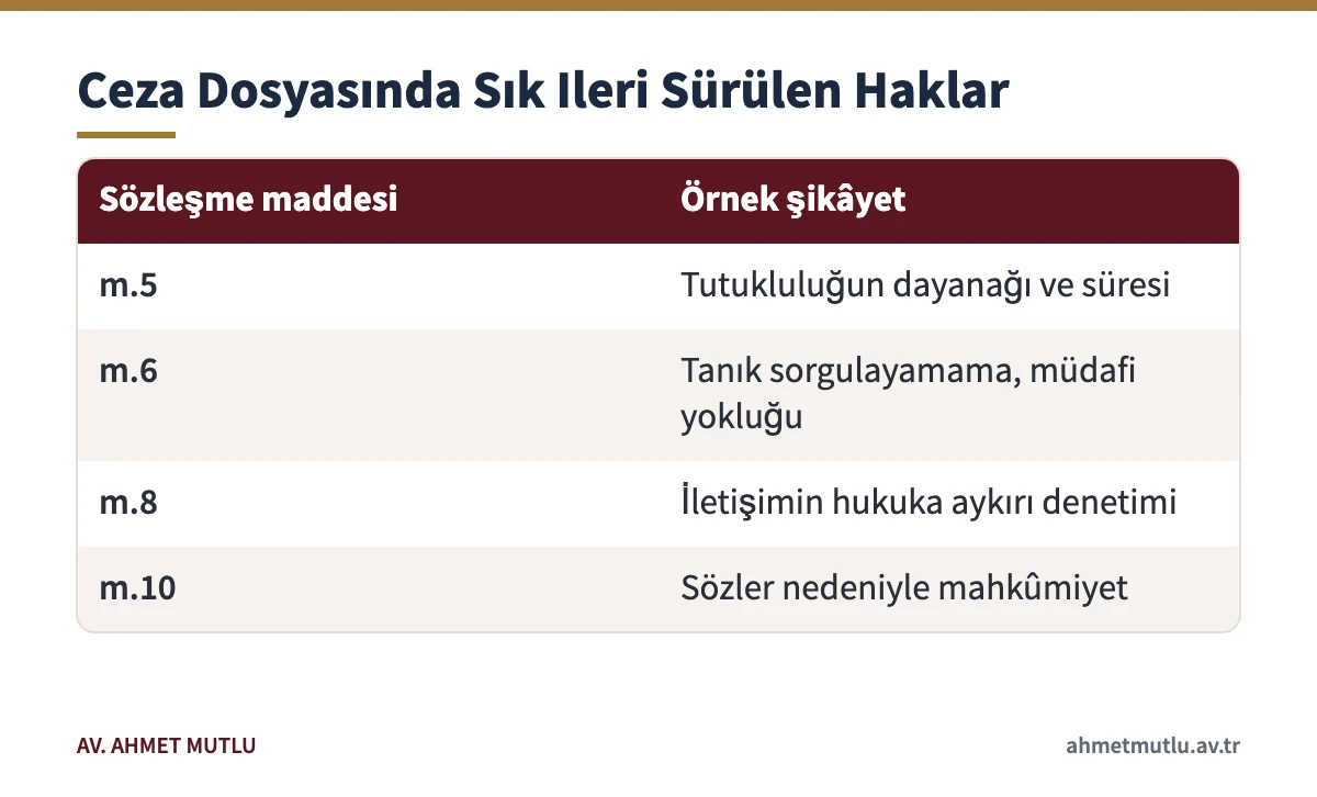 Ceza yargılamasından doğan AİHM başvurularında sık ileri sürülen Sözleşme maddelerini gösteren tablo